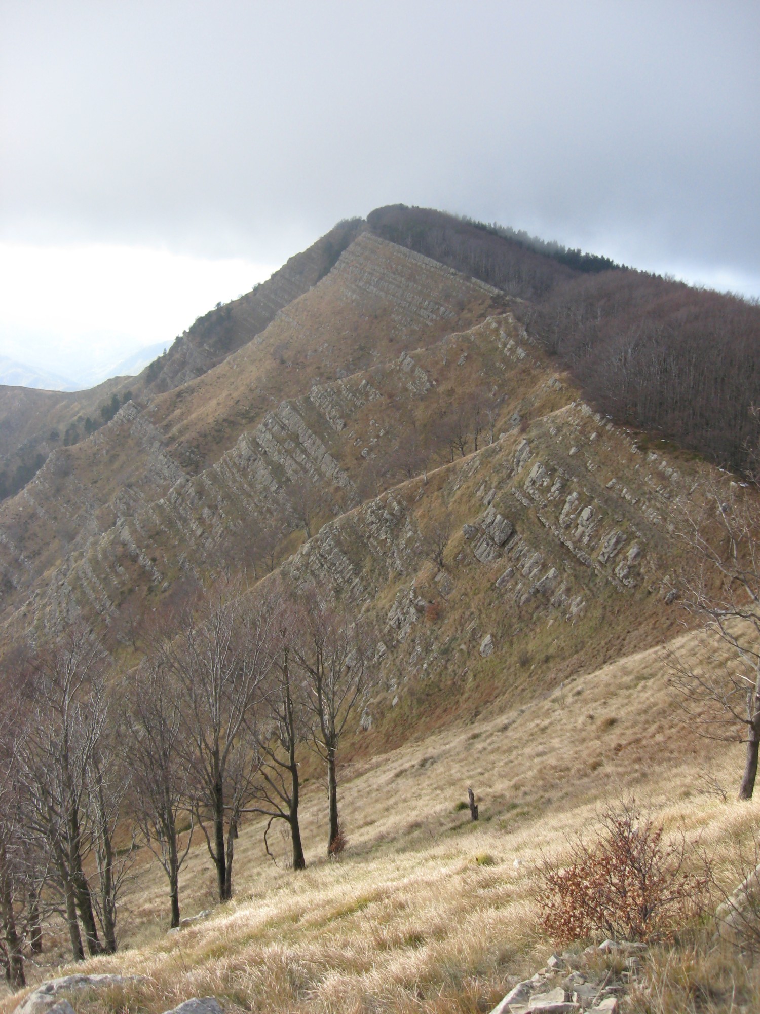 Anello del monte Zatta m. 1404 - Appennino ligure da Reppia