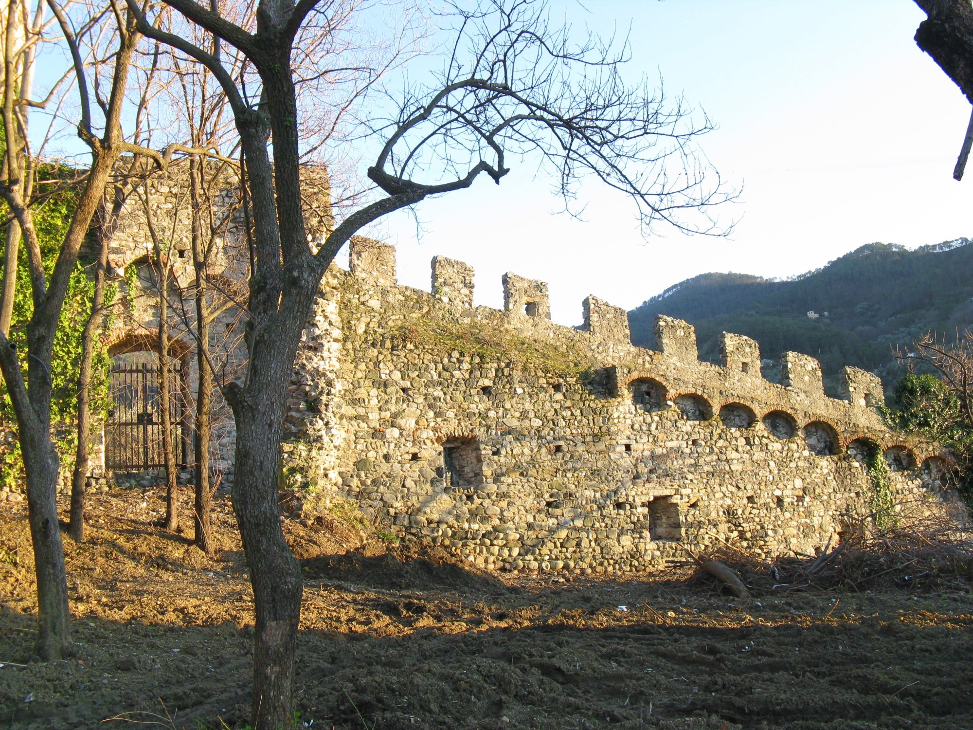 ANELLO DI LEVANTO